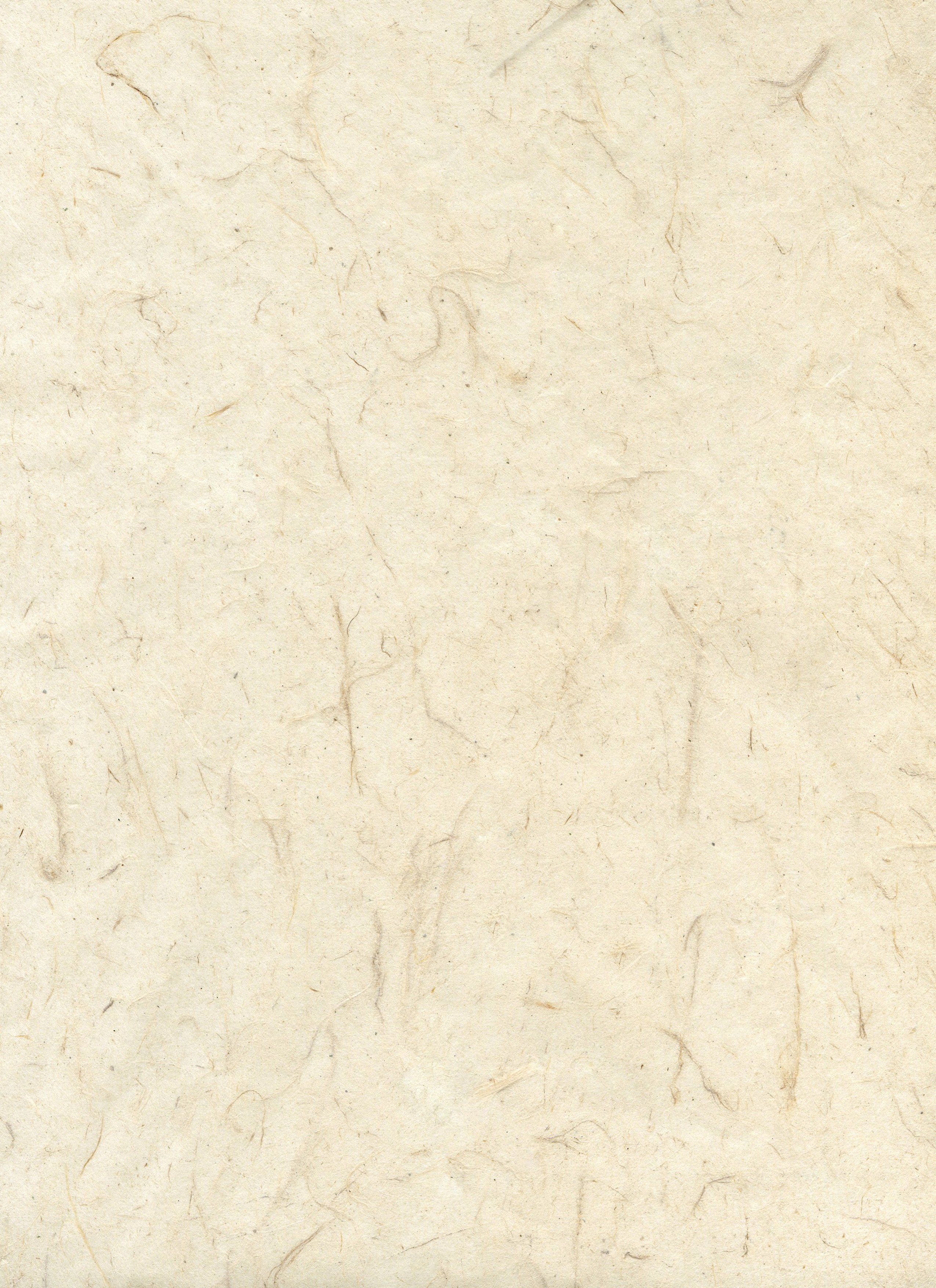 Light paper texture background for manifesto